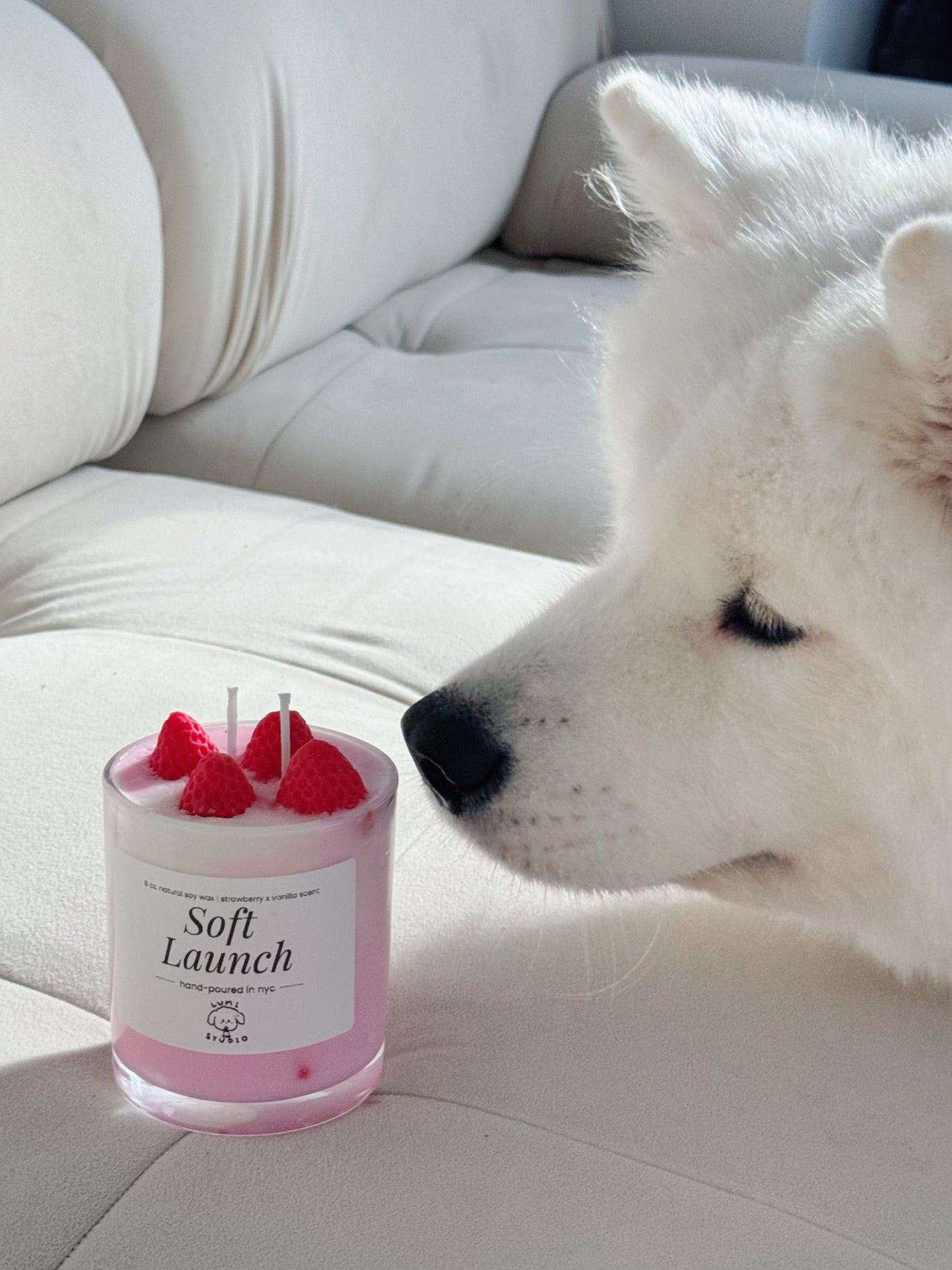 Soft Launch Candle